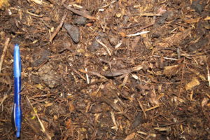FIBRE DE PEUPLIER PLANTES ANNUELLES